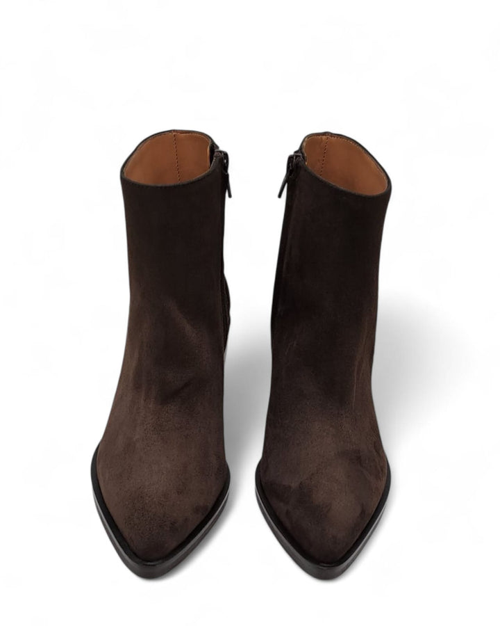 Texano Beatrice  Camoscio Testa di Moro