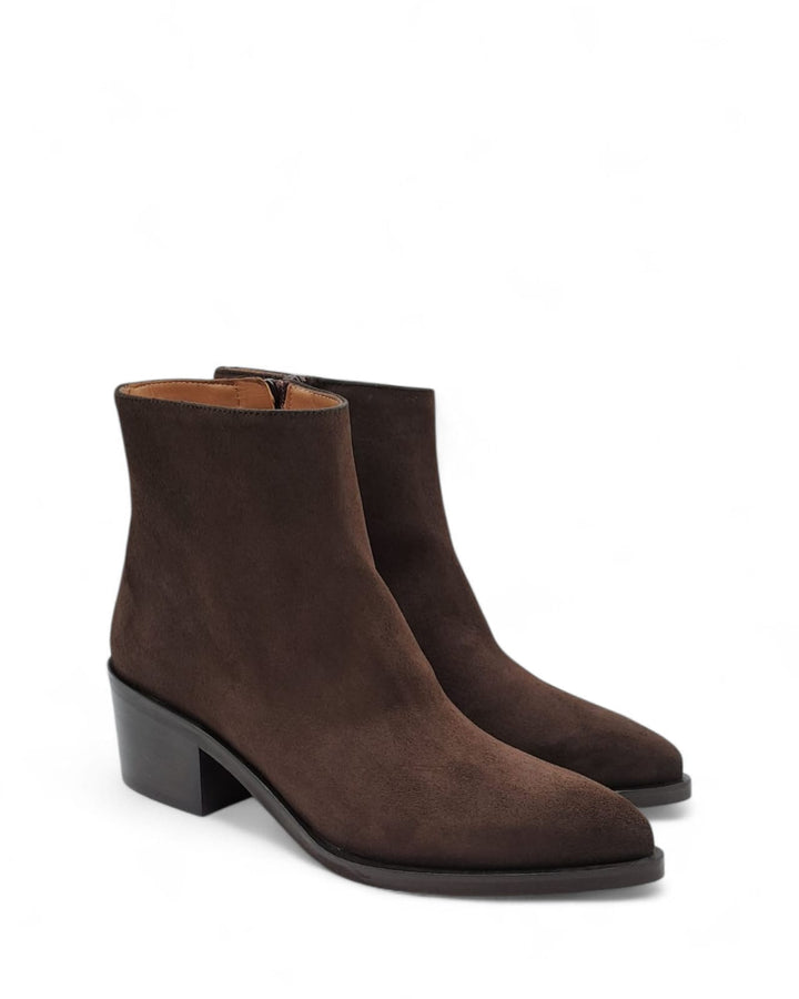 Texano Beatrice  Camoscio Testa di Moro