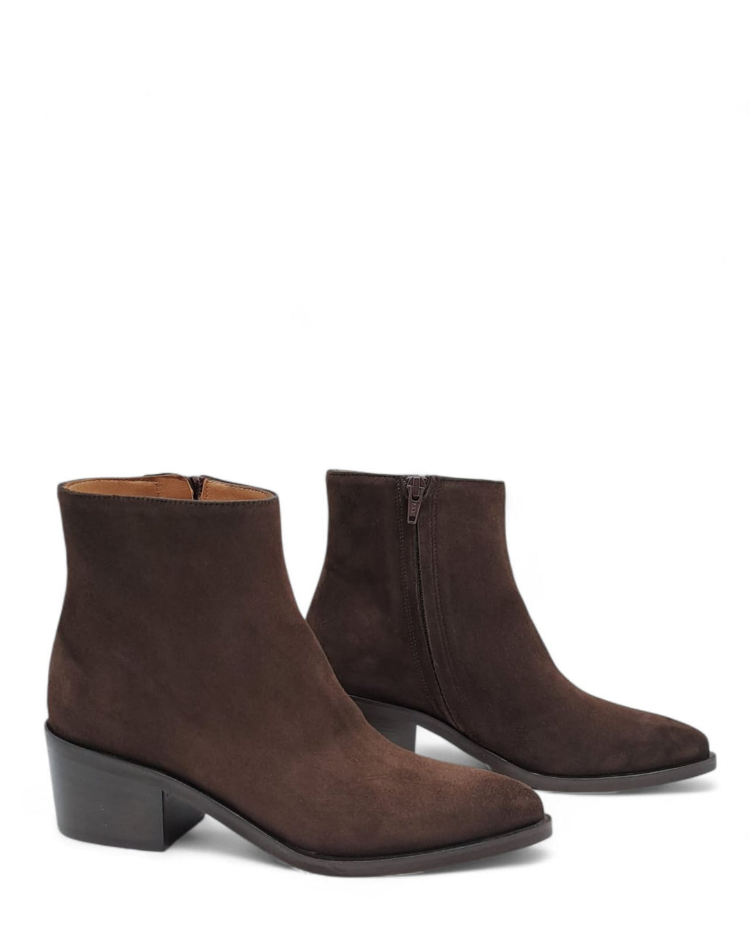 Texano Beatrice  Camoscio Testa di Moro